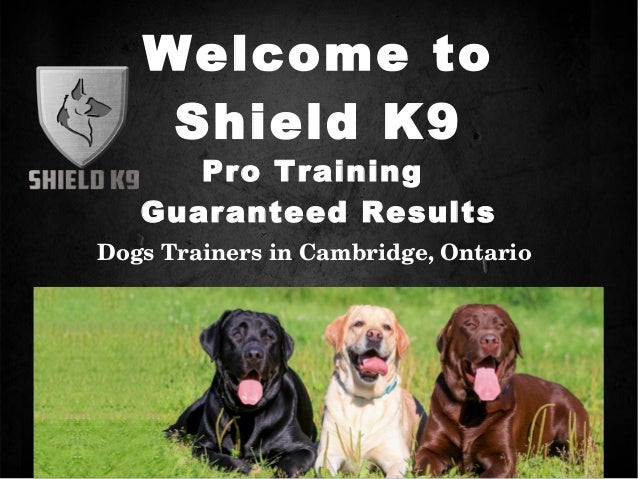 k9 training classes