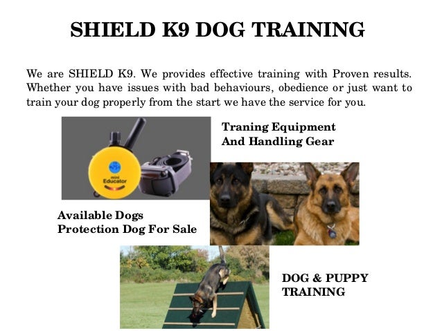 k9 shield training