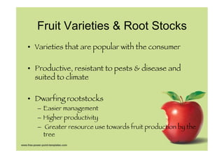 Trellis System
•  Support dwarf stock under high fruit yields!
•  Improve light exposure!

•  Canopy management for better...