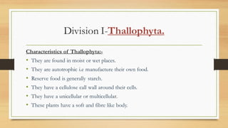 Division I-Thallophyta.
Characteristics of Thallophyta:-
• They are found in moist or wet places.
• They are autotrophic i.e manufacture their own food.
• Reserve food is generally starch.
• They have a cellulose call wall around their cells.
• They have a unicellular or multicellular.
• These plants have a soft and fibre like body.
 