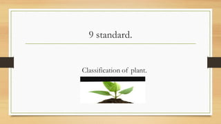 9 standard.
Classification of plant.
 