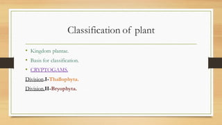 Classification of plant
• Kingdom plantae.
• Basis for classification.
• CRYPTOGAMS.
Division.I-Thallophyta.
Division.II-Bryophyta.
 