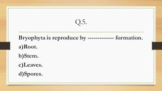Q.5.
Bryophyta is reproduce by ------------- formation.
a)Root.
b)Stem.
c)Leaves.
d)Spores.
 