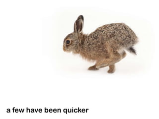 a few have been quicker
 