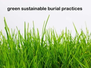 green sustainable burial practices
 