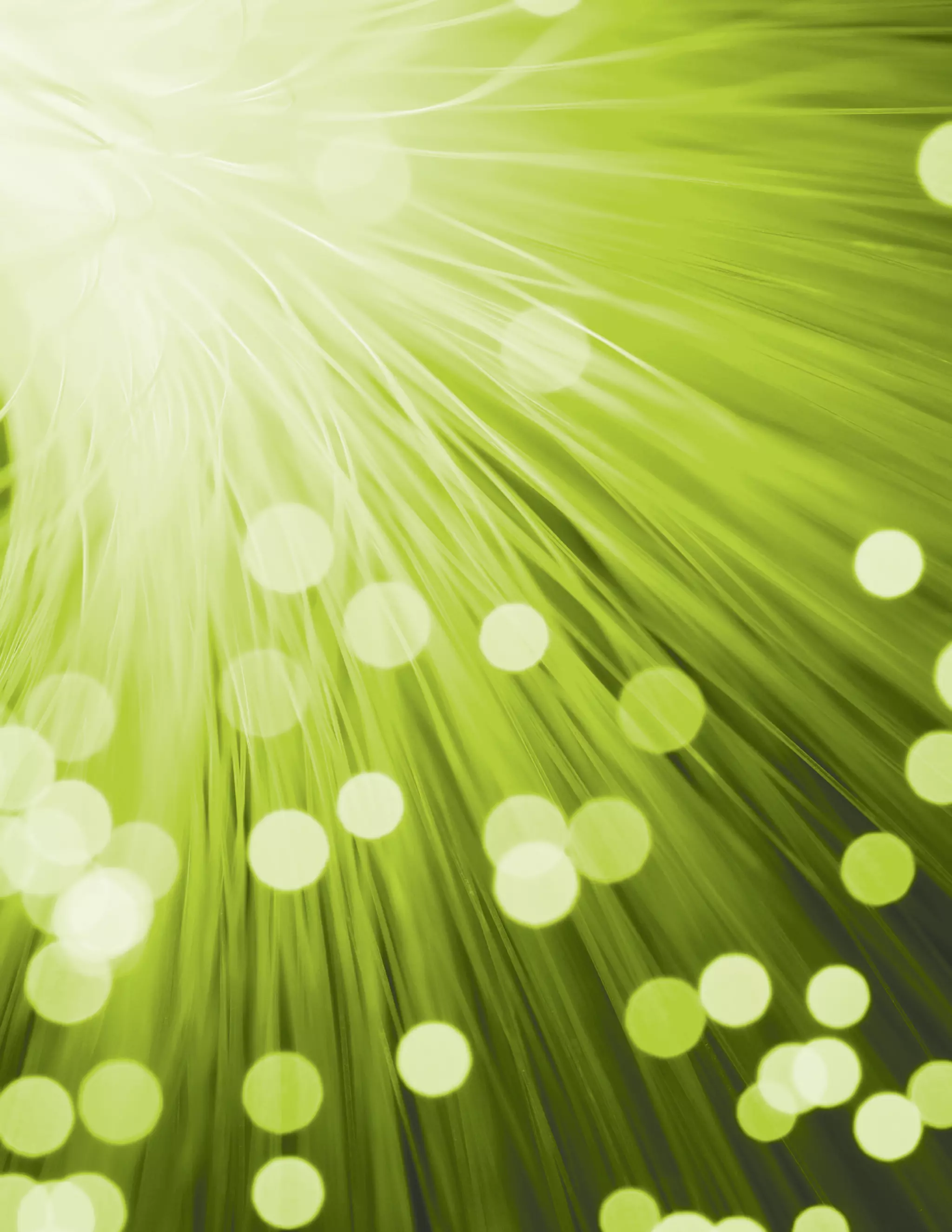 2010 Shift Index Measuring the forces of long-term change   9
 