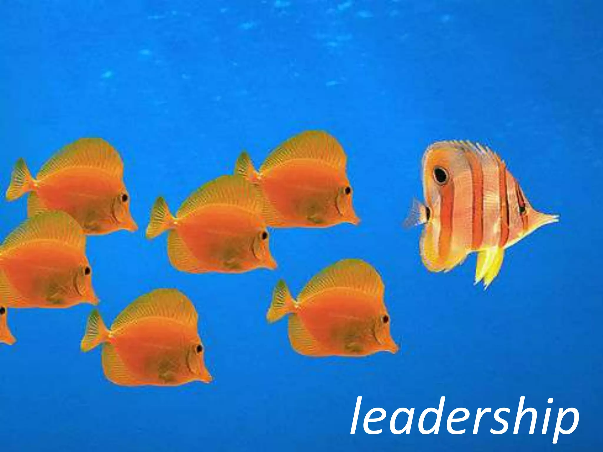 Shifting To 21st Century Learning