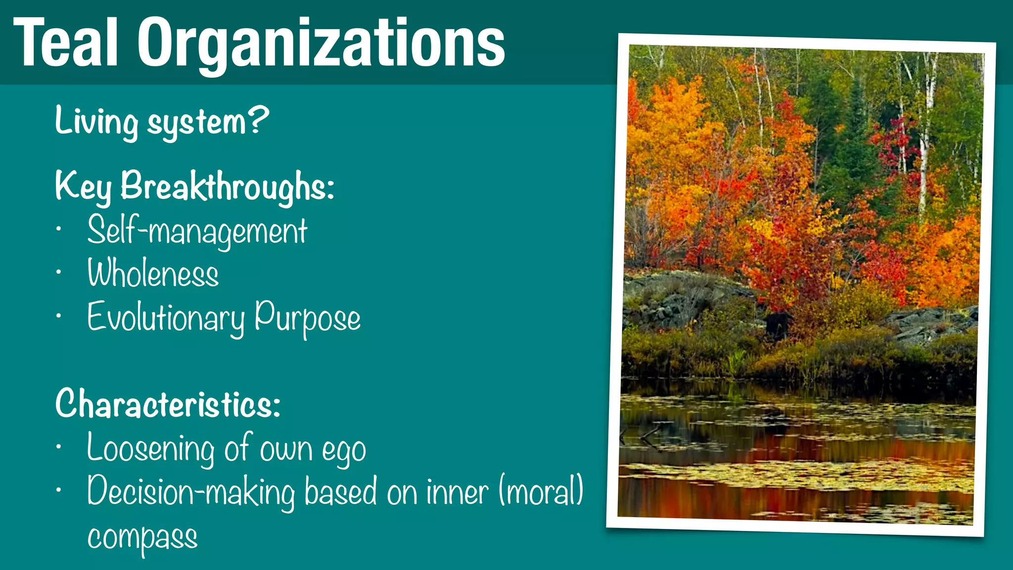 Teal Organizations
Living system?
Key Breakthroughs:
• Self-management
• Wholeness
• Evolutionary Purpose
Characteristics:
• Loosening of own ego
• Decision-making based on inner (moral)
compass
 