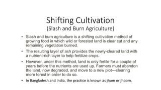 Shifting Cultivation
(Slash and Burn Agriculture)
• Slash and burn agriculture is a shifting cultivation method of
growing food in which wild or forested land is clear cut and any
remaining vegetation burned.
• The resulting layer of ash provides the newly-cleared land with
a nutrient-rich layer to help fertilize crops.
• However, under this method, land is only fertile for a couple of
years before the nutrients are used up. Farmers must abandon
the land, now degraded, and move to a new plot—clearing
more forest in order to do so.
• In Bangladesh and India, the practice is known as jhum or jhoom.
 