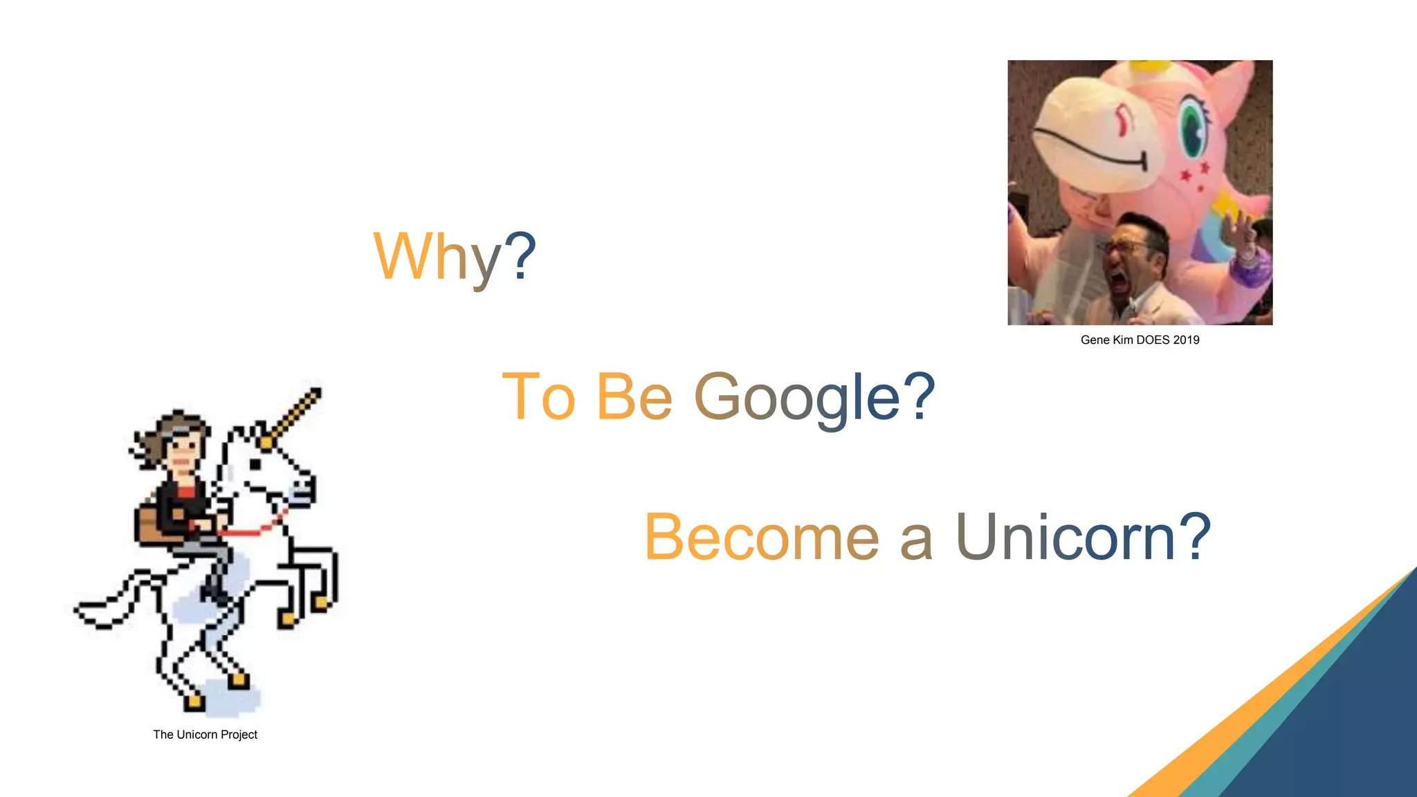 8
Gene Kim DOES 2019
The Unicorn Project
 