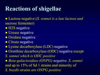 Shigella mahadi ppt | PDF