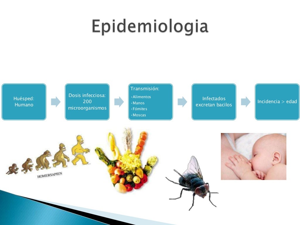 Shigella