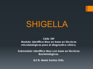 SHIGELLA
Cbtis 189
Modulo: Identifica Moo en base en técnicas
microbiológicas para el diagnostico clínico.
Submodulo: Identifica Moo con base en técnicas
Bacteriológicas.
Q.F.B. María Santos Ortiz.

 
