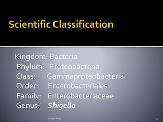 Kingdom: Bacteria
Phylum: Proteobacteria
Class: Gammaproteobacteria
Order: Enterobacteriales
Family: Enterobacteriaceae
Genus: Shigella
Umair Khan 5
 