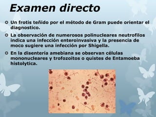 Examen directo
 Un frotis teñido por el método de Gram puede orientar el
diagnostico.
 La observación de numerosos polinucleares neutrofilos
indica una infección enteroinvasiva y la presencia de
moco sugiere una infección por Shigella.
 En la disentería amebiana se observan células
mononucleares y trofozoitos o quistes de Entamoeba
histolytica.
 