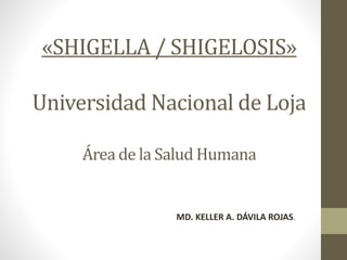 «SHIGELLA / SHIGELOSIS»
Universidad Nacional de Loja
Área de la Salud Humana
MD. KELLER A. DÁVILA ROJAS.
 