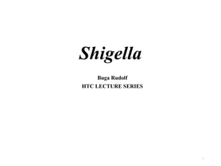Shigella
Buga Rudolf
HTC LECTURE SERIES
1
 