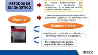 MÉTODOS DE
DIAGNÓSTICO
Se efectúa fundamentalmente por
aislamiento e identificación del
microorganismo en las heces del paciente
con el uso de medios selectivos.
Muestra
Heces recientes obtenidas con hisopo rectal o
directamente, seleccionando las partículas de moco
o las teñidas de sangre
Examen directo
La práctica de un frotis teñido por el método
de Gram puede orientar al diagnóstico.
Presencia de moco o sangre
sugiere infección por Shigella.
 
