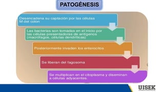 PATOGÉNESIS
 