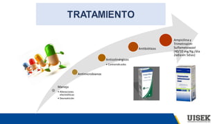 Manejo
• Alteraciones
electrolíticas
• Desnutrición
Antimicrobianos
Anticolinérgicos
• Contraindicados
Antibióticos
Ampicilina y
Trimetropim-
Sulfametoxazol
(40/10 mg/Kg./día
2xdia en 5dias)
 