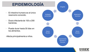 Shigella
Reservorio
humano
Heces
fecales
Transmisión
Persona a
Persona
Heces
fecales
Huésped
vulnerable
• El intestino humano es el único
reservorio conocido.
• Dosis infectante de 100 a 200
bacterias.
• Puede durar hasta 30 días en
los alimentos.
•Afecta principalmente a niños.
 
