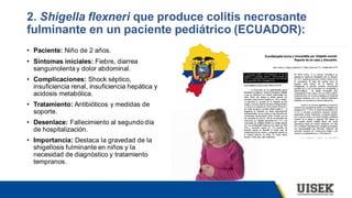 2. Shigella flexneri que produce colitis necrosante
fulminante en un paciente pediátrico (ECUADOR):
• Paciente: Niño de 2 años.
• Síntomas iniciales: Fiebre, diarrea
sanguinolenta y dolor abdominal.
• Complicaciones: Shock séptico,
insuficiencia renal, insuficiencia hepática y
acidosis metabólica.
• Tratamiento: Antibióticos y medidas de
soporte.
• Desenlace: Fallecimiento al segundo día
de hospitalización.
• Importancia: Destaca la gravedad de la
shigellosis fulminante en niños y la
necesidad de diagnóstico y tratamiento
tempranos.
 