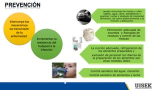 Interrumpe los
mecanismos
de transmisión
de la
enfermedad
Incrementan la
resistencia del
huésped a la
infección
La cocción adecuada, refrigeración de
los alimentos preparados y
exclusión de personal con diarrea de
la preparación de los alimentos son
otras medidas útiles
Eliminación adecuada de
excretas y Recogida de
residuos y control de las
moscas
Lavado minucioso de manos y uñas
(jabón, agua ,cloro, antisépticos y
guantes ) antes y después de manipular
alimentos, así como posteriormente a la
micción y defecación.
Control sanitario del agua: cloración
Control sanitario de alimentos y leche
 
