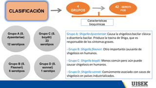 CLASIFICACIÓN
4
GRUPOS
42 SEROTI
POS
Características
bioquímicas
Grupo A (S.
dysenteriae)
12 serotipos
Grupo B (S.
Flexneri)
6 serotipos
Grupo D (S.
sonnei)
1 serotipo
Grupo C (S.
boydii)
23
serotipos
Grupo A: Shigella dysenteriae:Causa la shigelosis bacilar clásica
o disentería bacilar. Produce la toxina de Shiga, que es
responsable de los síntomas graves.
- Grupo B: Shigella flexneri: Otro importante causante de
shigelosis en humanos.
- Grupo C: Shigella boydii: Menos común pero aún puede
causar shigelosis en humanos.
- Grupo D: Shigella sonnei:Comúnmente asociado con casos de
shigelosis en países industrializados.
 