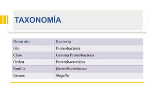 TAXONOMÍA
Dominio Bacteria
Filo Proteobacteria
Clase Gamma Proteobacteria
Orden Enterobacteriales
Familia Enterobacteriaceae
Género Shigella
 