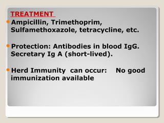 TREATMENT
Ampicillin, Trimethoprim,
Sulfamethoxazole, tetracycline, etc.
Protection: Antibodies in blood IgG.
Secretary Ig A (short-lived).
Herd Immunity can occur: No good
immunization available
 