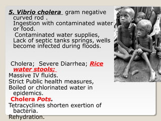 5. Vibrio cholera gram negative
curved rod .
Ingestion with contaminated water
or food.
Contaminated water supplies,
Lack of septic tanks springs, wells
become infected during floods.
Cholera; Severe Diarrhea; Rice
water stools;
Massive IV fluids.
Strict Public health measures,
Boiled or chlorinated water in
epidemics.
Cholera Pots.
Tetracyclines shorten exertion of
bacteria.
Rehydration.
 