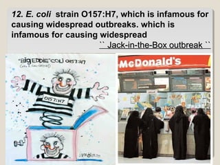 12. E. coli  strain O157:H7, which is infamous for 
causing widespread outbreaks. which is 
infamous for causing widespread 
`` Jack-in-the-Box outbreakJack-in-the-Box outbreak ``
 