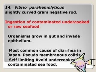 14. Vibrio parahemolyticus
slightly curved gram negative rod.
Ingestion of contaminated undercooked
or raw seafood.
Organisms grow in gut and invade
epithelium.
Most common cause of diarrhea in
Japan. Pseudo membranous colitis.
Self limiting Avoid undercooked or
contaminated sea food.
 