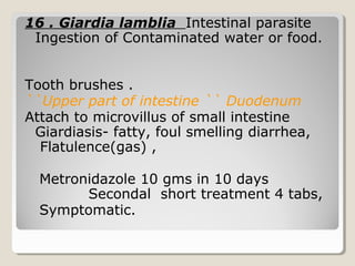 16 . Giardia lamblia Intestinal parasite
Ingestion of Contaminated water or food.
Tooth brushes .
``Upper part of intestine `` Duodenum
Attach to microvillus of small intestine
Giardiasis- fatty, foul smelling diarrhea,
Flatulence(gas) ,
Metronidazole 10 gms in 10 days
Secondal short treatment 4 tabs,
Symptomatic.
 