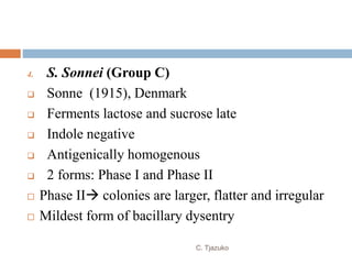 4. S. Sonnei (Group C)
 Sonne (1915), Denmark
 Ferments lactose and sucrose late
 Indole negative
 Antigenically homogenous
 2 forms: Phase I and Phase II
 Phase II colonies are larger, flatter and irregular
 Mildest form of bacillary dysentry
C. Tjazuko
 