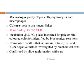  Microscopy- plenty of pus cells, erythrocytes and
macrophages
 Culture- best to use mucus flakes
 MacConkey, DCA/ XLD
 Incubation @ 37 ºC, plates inspected for pale or pink-
coloured colonies, identified by biochemical reactions
 Non-motile bacillus that is : urease, citrate, H2S and
KCN negative further investigated by biochemical tests
 Confirmed by slide agglutination with sera
C. Tjazuko
 