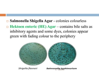  Salmonella Shigella Agar - colonies colourless
 Hektoen enteric (HE) Agar – contains bile salts as
inhibitory agents and some dyes, colonies appear
green with fading colour to the periphery
C. Tjazuko
 