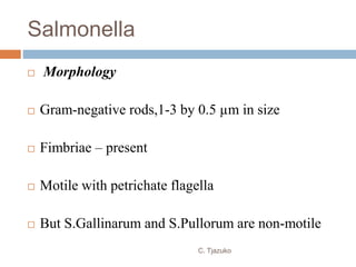 Salmonella
 Morphology
 Gram-negative rods,1-3 by 0.5 µm in size
 Fimbriae – present
 Motile with petrichate flagella
 But S.Gallinarum and S.Pullorum are non-motile
C. Tjazuko
 