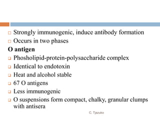  Strongly immunogenic, induce antibody formation
 Occurs in two phases
O antigen
 Phosholipid-protein-polysaccharide complex
 Identical to endotoxin
 Heat and alcohol stable
 67 O antigens
 Less immunogenic
 O suspensions form compact, chalky, granular clumps
with antisera
C. Tjazuko
 