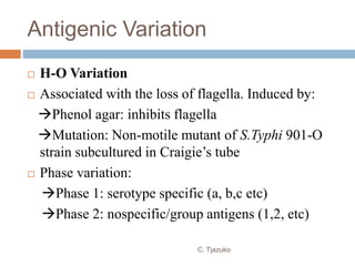 Antigenic Variation
 H-O Variation
 Associated with the loss of flagella. Induced by:
Phenol agar: inhibits flagella
Mutation: Non-motile mutant of S.Typhi 901-O
strain subcultured in Craigie’s tube
 Phase variation:
Phase 1: serotype specific (a, b,c etc)
Phase 2: nospecific/group antigens (1,2, etc)
C. Tjazuko
 