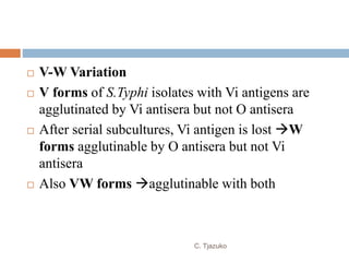 V-W Variation
 V forms of S.Typhi isolates with Vi antigens are
agglutinated by Vi antisera but not O antisera
 After serial subcultures, Vi antigen is lost W
forms agglutinable by O antisera but not Vi
antisera
 Also VW forms agglutinable with both
C. Tjazuko
 