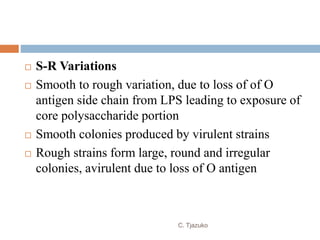  S-R Variations
 Smooth to rough variation, due to loss of of O
antigen side chain from LPS leading to exposure of
core polysaccharide portion
 Smooth colonies produced by virulent strains
 Rough strains form large, round and irregular
colonies, avirulent due to loss of O antigen
C. Tjazuko
 