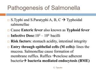 Pathogenesis of Salmonella
 S.Typhi and S.Paratyphi A, B, C  Typhoidal
salmonellae
 Cause Enteric fever also known as Typhoid fever
 Infective Dose:103 – 106 bacilli
 Risk factors: stomach acidity, intestinal integrity
 Entry through epithelial cells (M cells): lines the
mucosa. Salmonellae cause formation of
membrane ruffles. Ruffles enclose adherent
bacteria bacteria mediated endocytosis (BME)
C. Tjazuko
 