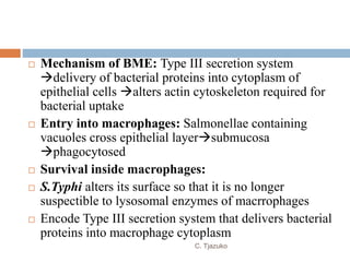  Mechanism of BME: Type III secretion system
delivery of bacterial proteins into cytoplasm of
epithelial cells alters actin cytoskeleton required for
bacterial uptake
 Entry into macrophages: Salmonellae containing
vacuoles cross epithelial layersubmucosa
phagocytosed
 Survival inside macrophages:
 S.Typhi alters its surface so that it is no longer
suspectible to lysosomal enzymes of macrrophages
 Encode Type III secretion system that delivers bacterial
proteins into macrophage cytoplasm
C. Tjazuko
 