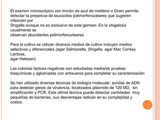 El examen microscópico con tinción de azul de metileno o Gram permitedetectar la presencia de leucocitos polimorfonucleares que sugieren  infección porShigella aunque no es exclusivo de este germen. En la shigelosis usualmente seobservan abundantes polimorfonucleares.Para el cultivo se utilizan diversos medios de cultivo incluyen mediosselectivos y diferenciales (agar Salmonella, Shigella, agar Mac Conkey Lactosa,agarHektoen)Las colonias lactosa negativas son estudiadas mediante pruebasbioquímicas y aglutinadas con antisueros para completar su caracterizaciónSe han utilizado diversas técnicas de biología molecular: sondas de ADNpara detectar genes de virulencia, localizados plásmido de 120 MD,  sinamplificación y PCR. Esta última técnica puede detectar cantidades  muypequeñas de bacterias, sus desventajas radican en su complejidad y costos.