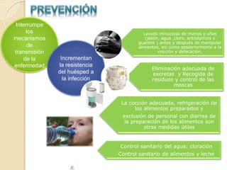 Interrumpe
los
mecanismos
de
transmisión
de la
enfermedad
Incrementan
la resistencia
del huésped a
la infección
La cocción adecuada, refrigeración de
los alimentos preparados y
exclusión de personal con diarrea de
la preparación de los alimentos son
otras medidas útiles
Eliminación adecuada de
excretas y Recogida de
residuos y control de las
moscas
Lavado minucioso de manos y uñas
(jabón, agua ,cloro, antisépticos y
guantes ) antes y después de manipular
alimentos, así como posteriormente a la
micción y defecación.
Control sanitario del agua: cloración
Control sanitario de alimentos y leche
 