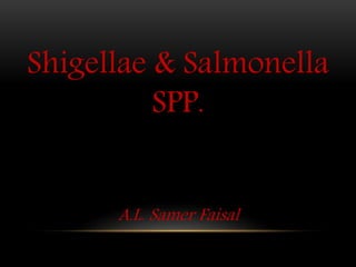 Shigellae & Salmonella
SPP.
A.L. Samer Faisal
 