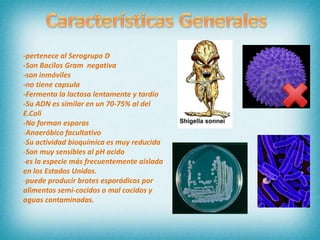 -pertenece al Serogrupo D
-Son Bacilos Gram negativa
-son inmóviles
-no tiene capsula
-Fermenta la lactosa lentamente y tardío
-Su ADN es similar en un 70-75% al del
E.Coli
-No forman esporas
-Anaeróbico facultativo
-Su actividad bioquímica es muy reducida
-Son muy sensibles al pH acido
-es la especie más frecuentemente aislada
en los Estados Unidos.
-puede producir brotes esporádicos por
alimentos semi-cocidos o mal cocidos y
aguas contaminadas.