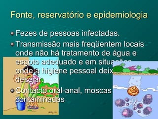 Fonte, reservatório e epidemiologia  Fezes de pessoas infectadas.  Transmissão mais freqüentem locais onde não há tratamento de água e esgoto adequado e em situações onde a higiene pessoal deixa a desejar.  Contacto oral-anal, moscas  contaminadas 