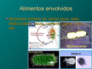 Alimentos envolvidos Alimentos úmidos de vários tipos, leite, feijão,batata, peixe, camarão, peru, cidra, etc. 